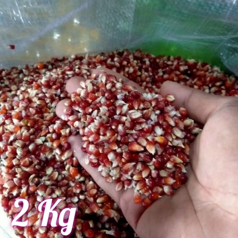 jagung kristal merah cililin 2 Kg
