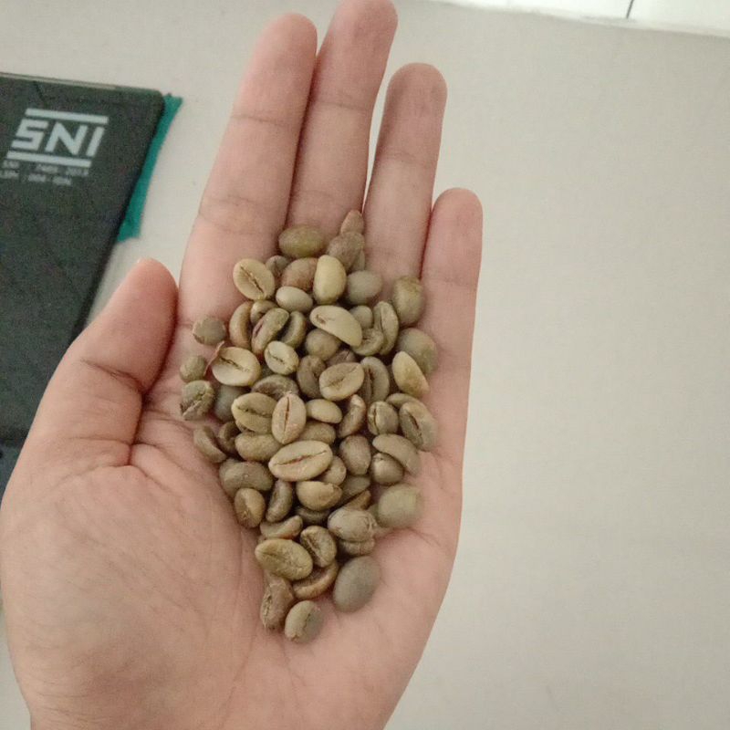 

Greenbean Robusta Gemawang Temanggung Grade 1