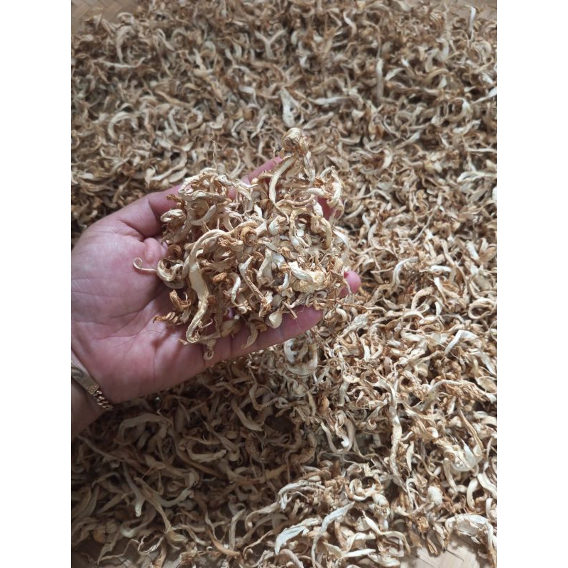 

Jamur tiram kering dried oyster mushroom 100gram