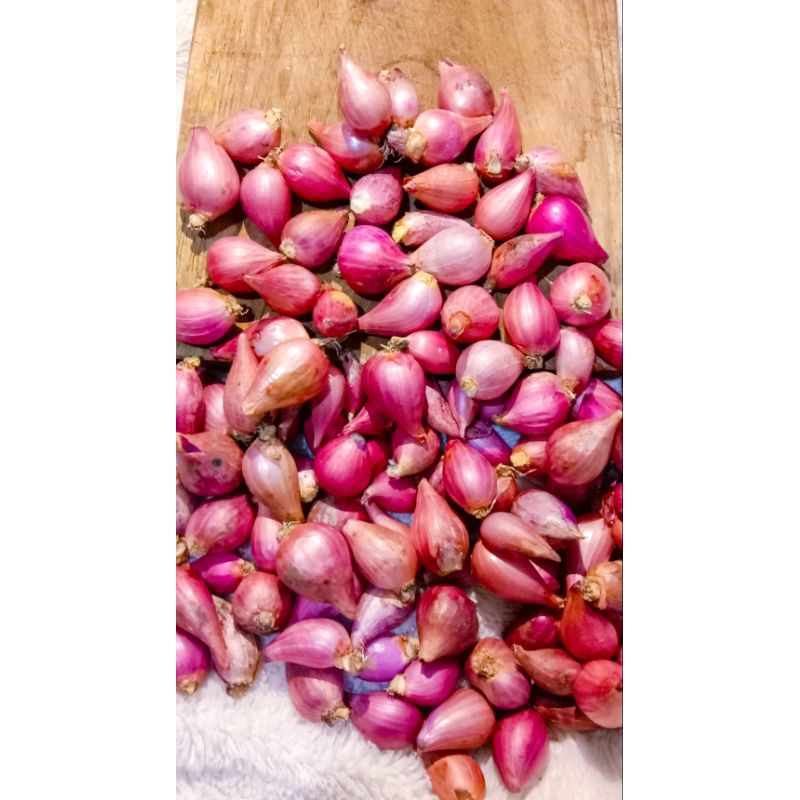 

bawang merah sedang 500g
