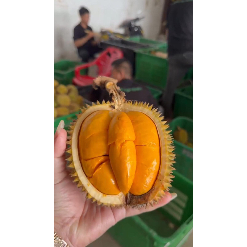 

Buah Lay Asli Kalimantan Per/Pcs