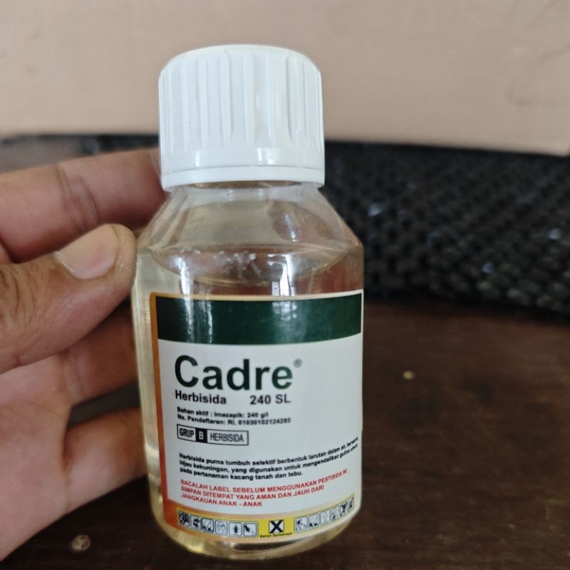 CADRE 240SL - Herbisida selektif mengendalikan gulma pada tanaman kacang, kedelai, cabe