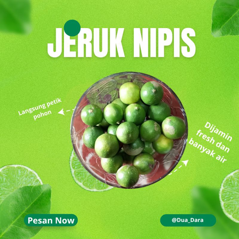 

jeruk nipis 1 kg murah/ jeruk nipis fresh langsung petik pohon