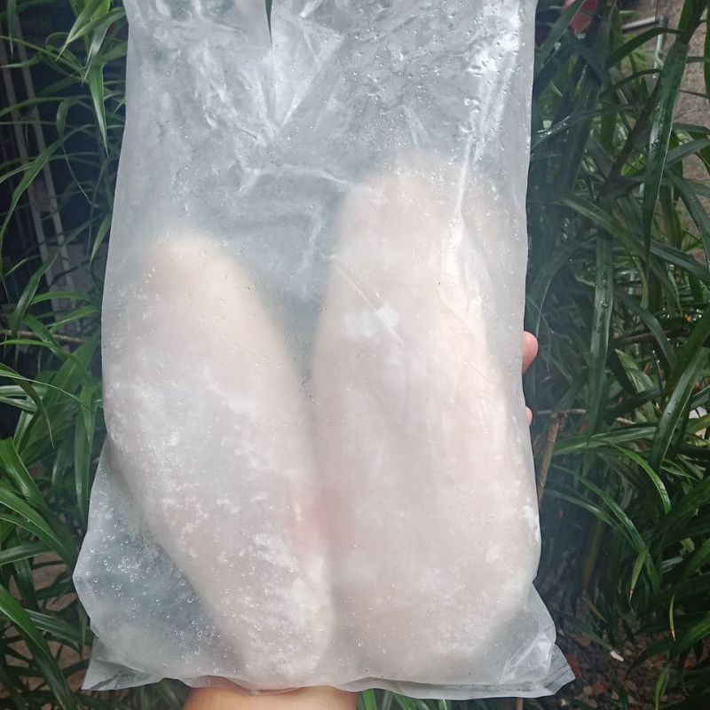 

Ikan dori 1kg isi 3 atau 4