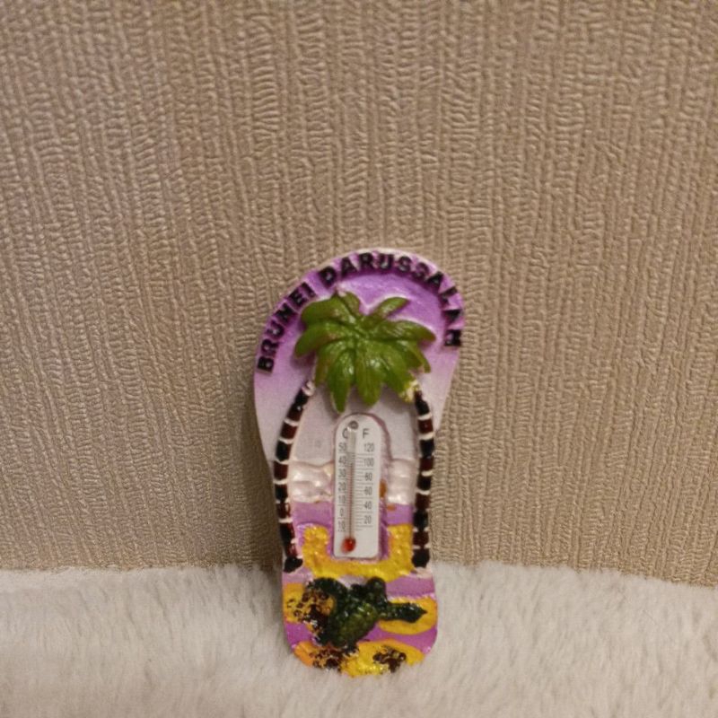 fridge magnet Brunei darussalam