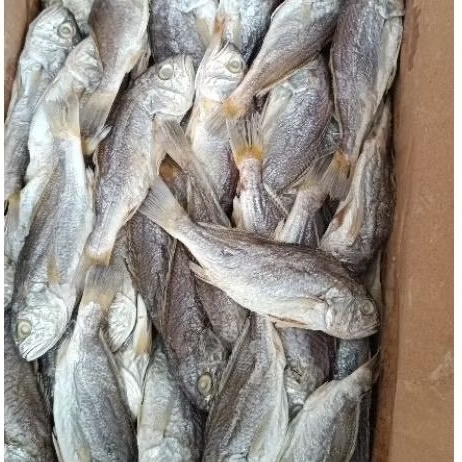 

gulama pisang tanjung balai