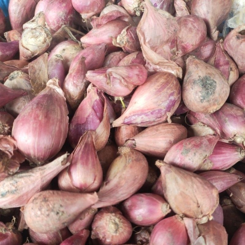 

Bawang Merah Brebes 500 Gram