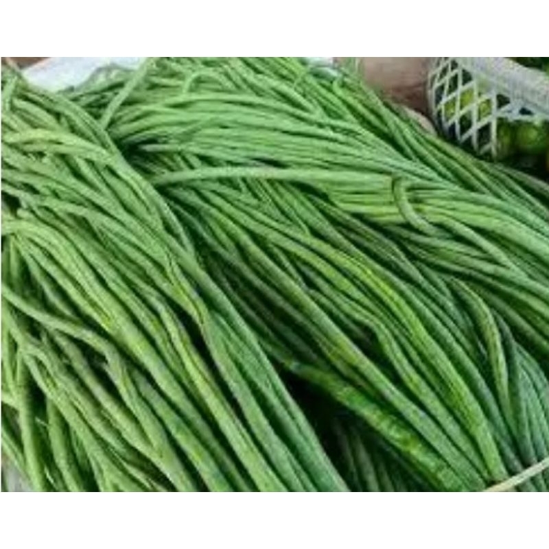 

1kg kacang panjang segar