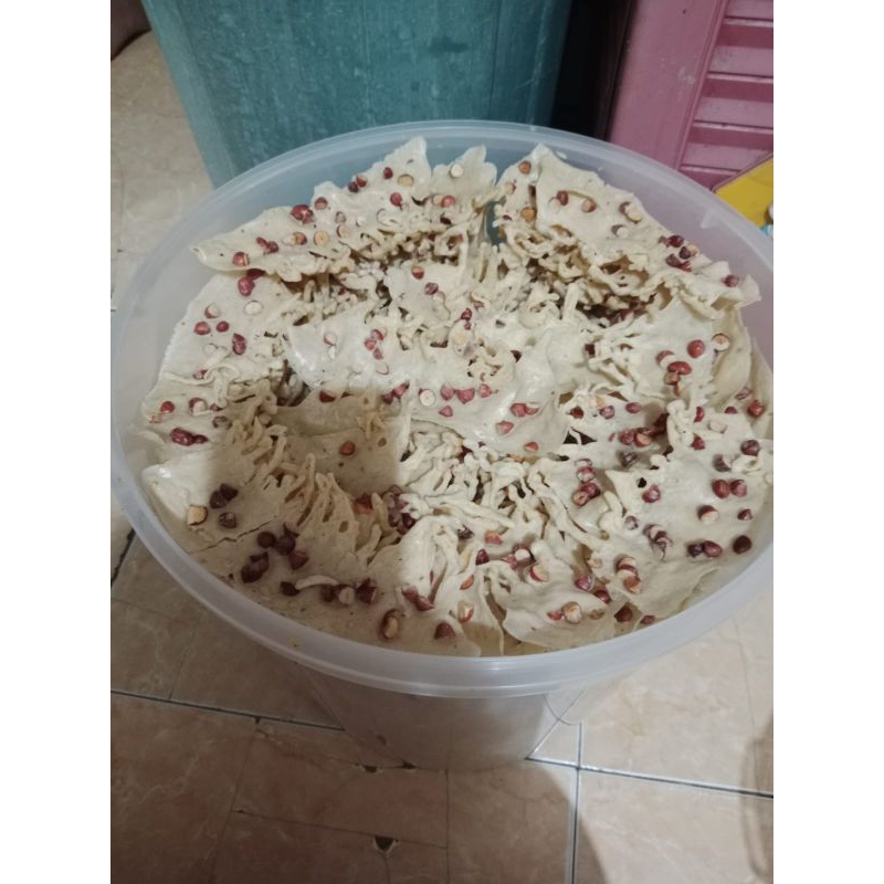 

Aneka Peyek Cemil Mantul