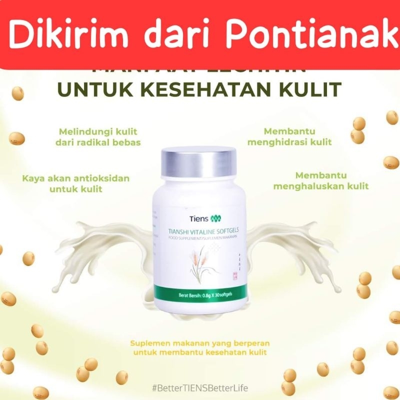 Vitaline Softgel Capsules Tiens | Tianshi | Dikirim dari Agen Resmi Tiens