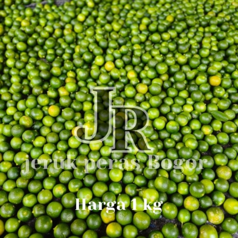 

Jeruk peras Sunkist harga 1kg Langsung petik dari pohon