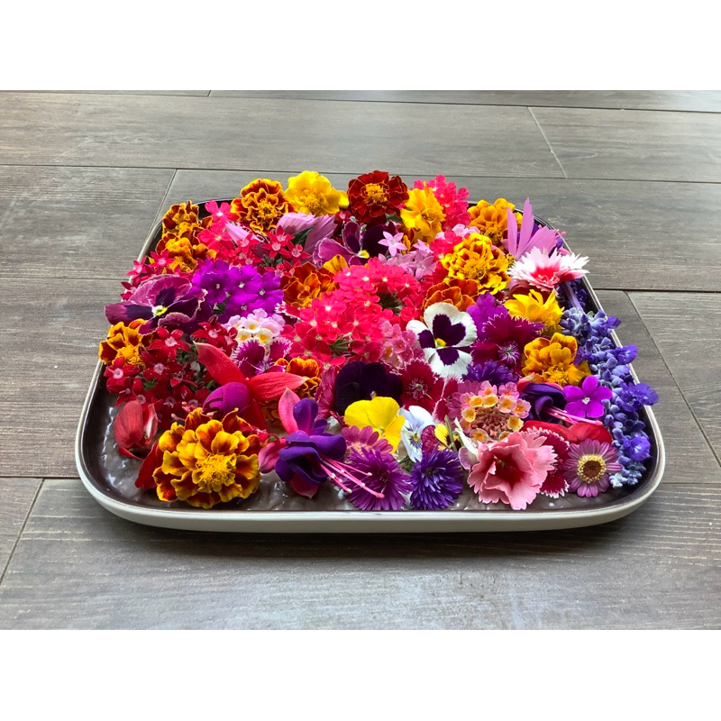 

Edible Flower MIX FRESH Akar Wangi | Garnish Makanan | Garnish Minuman | Bunga bisa Dimakan