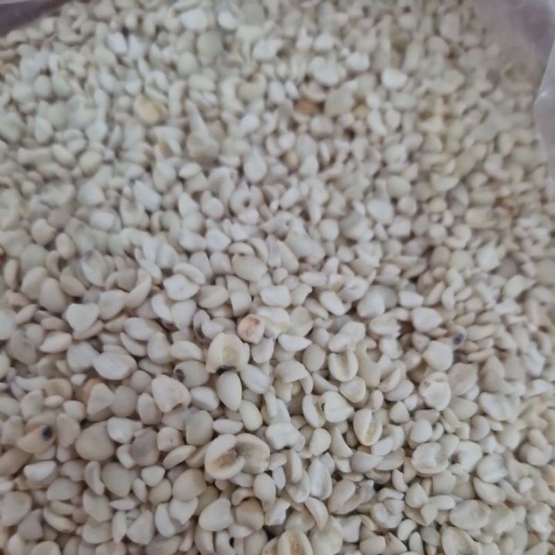 

Jali / ibi panas Dalam