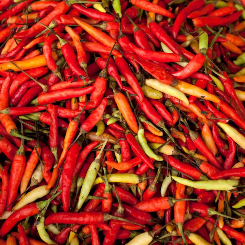 

Cebe | Cabe rawit Merah Fresh| Cabe Rawit super Pedas Segar |
