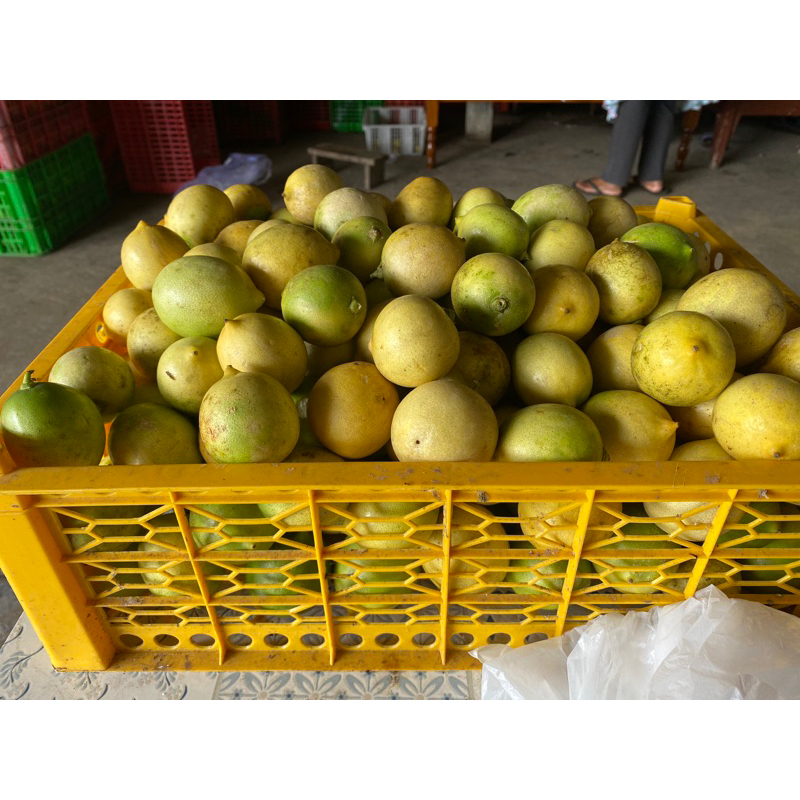 

lemon sigles mini
