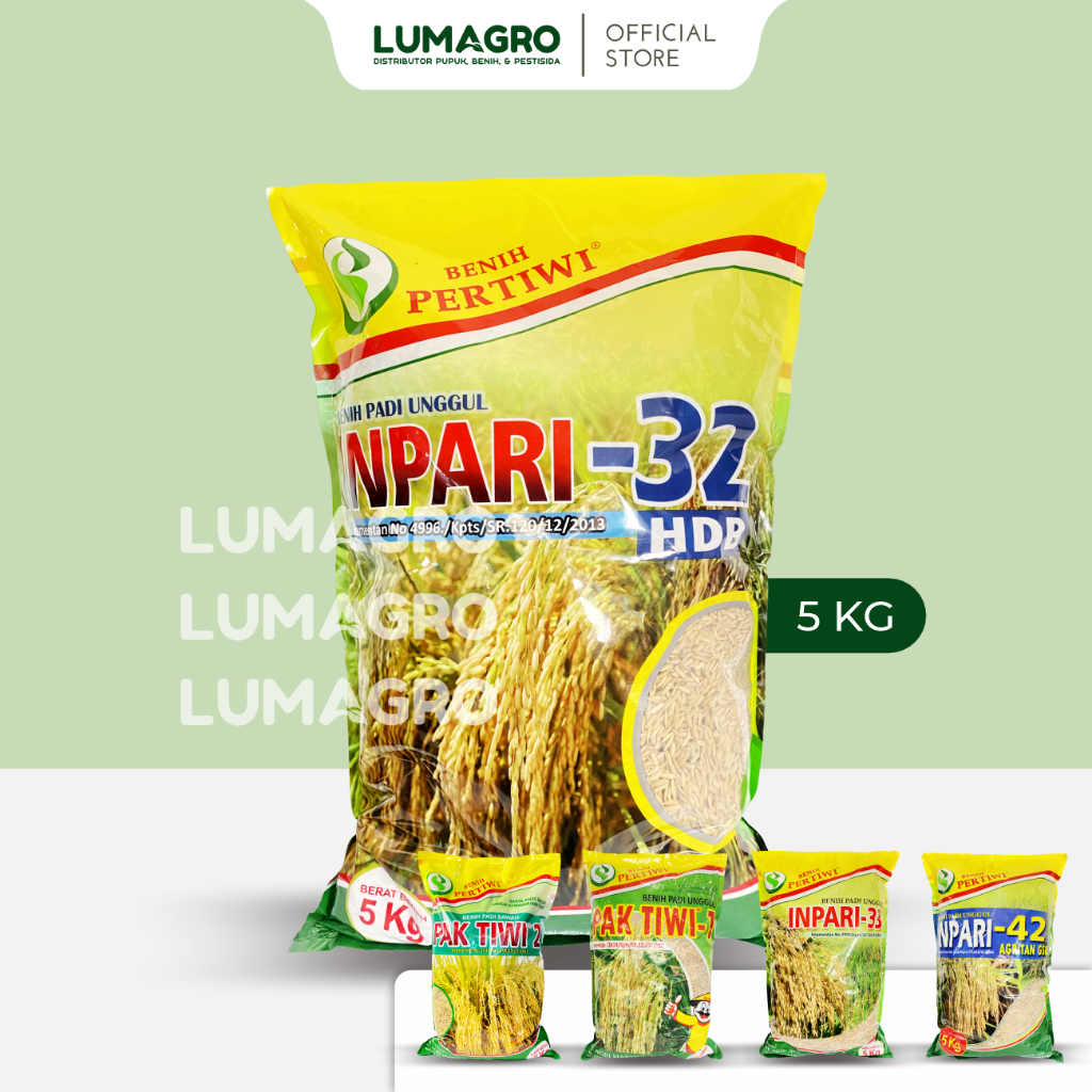 Benih Padi Pertiwi 5kg Premium Bibit Pari Jumbo Berbagai Varian 5 Kilogram