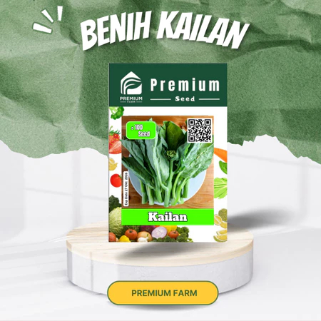 

Benih Tanaman Sawi Kailan Premium Seed Daun Lebar Renyah Pertumbuhan Cepat Isi 100 Biji Premium