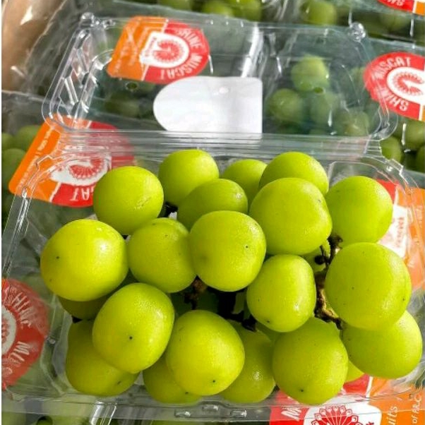

anggur hijau shine muscat per 1dus