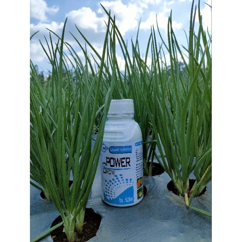 power grow 500ml zpt multivitamin tanaman