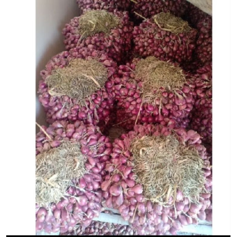 

Bawang merah daun kering asli Brebes Jawa tengah