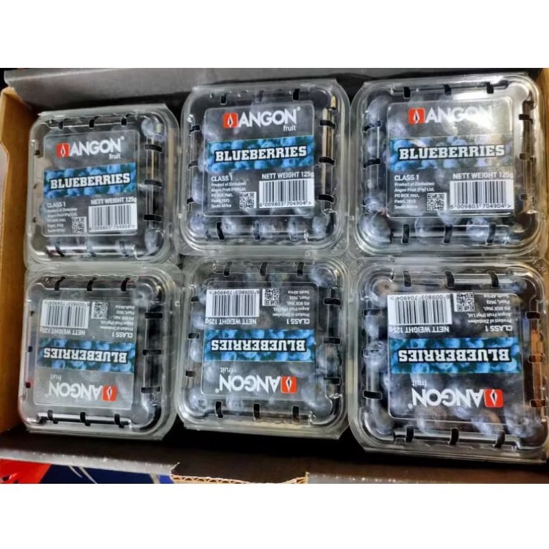 

Bluberry Import Fresh Pack