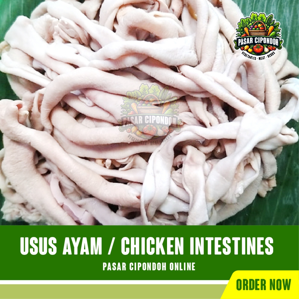 

Usus Ayam Boiler Ayam Negeri Mentah Segar 500 gram / Chicken Intestines - Pasar Cipondoh Tangerang