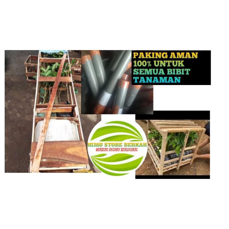 

paking aman kayu 100% aman