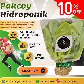 

Pakcoy Hidroponik Sayuran murah 200g