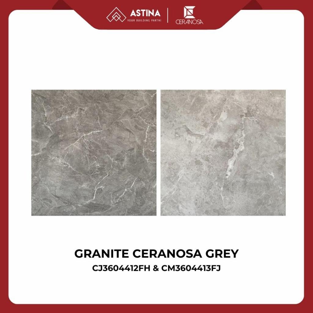 Granite CERANOSA CJ3604412FH & CM3604413FJ Grey 60x60 Glossy