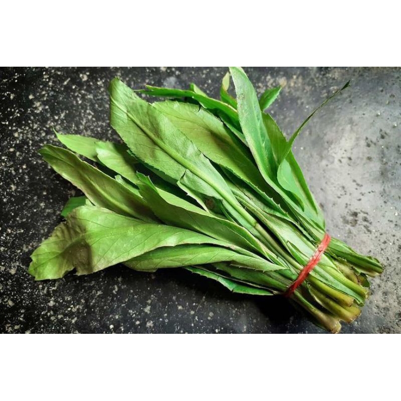 

lalapan mentah daun walangsangit, lalapan viral,lalapan super segar