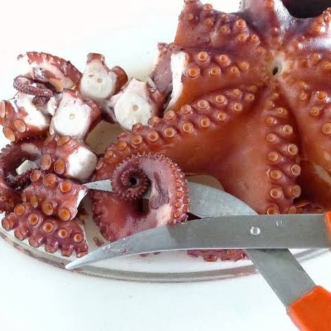 

Tako Leg Cut Boiled Cut Octopus Kaki Gurita Potong 250gr Healthy Wagyu