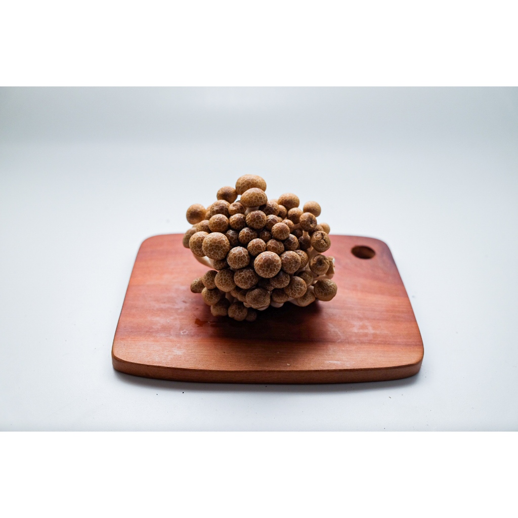 

Jamur shimeji cokelat segar