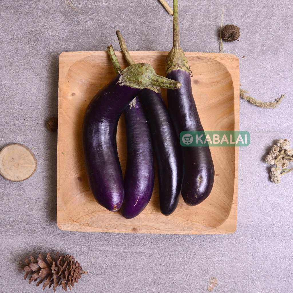 

Terong Fresh Segar Premium - Kabalai