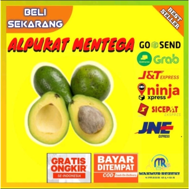 

Beli Sekarang Alpukat Mentega