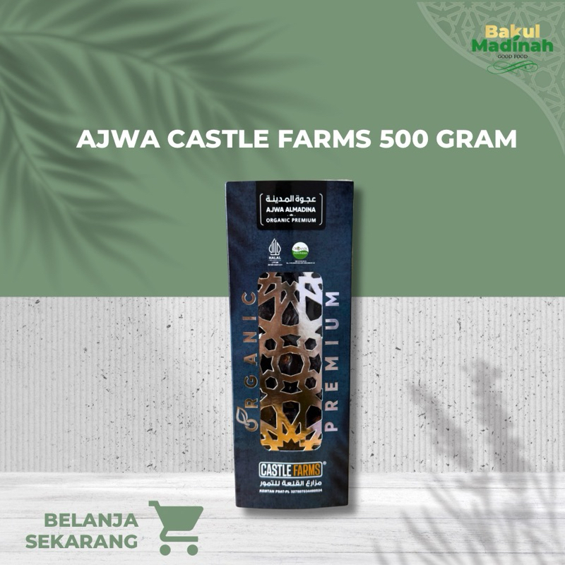 

AJWA CASTLE FARMS Premium Organic Almendra 500 Gram