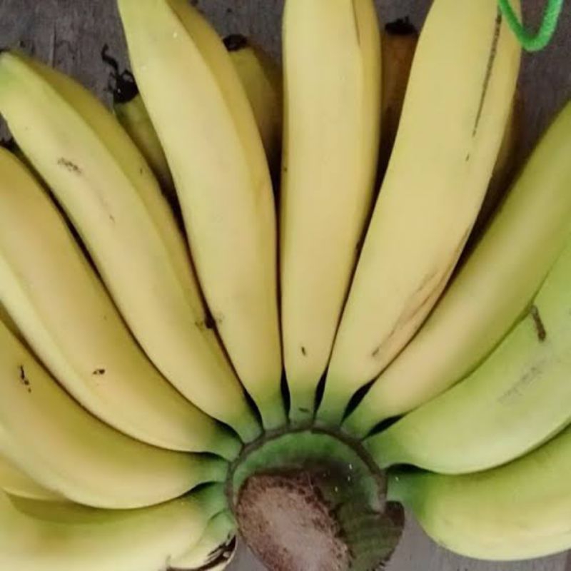 

pisang ambon putih 1 sisir