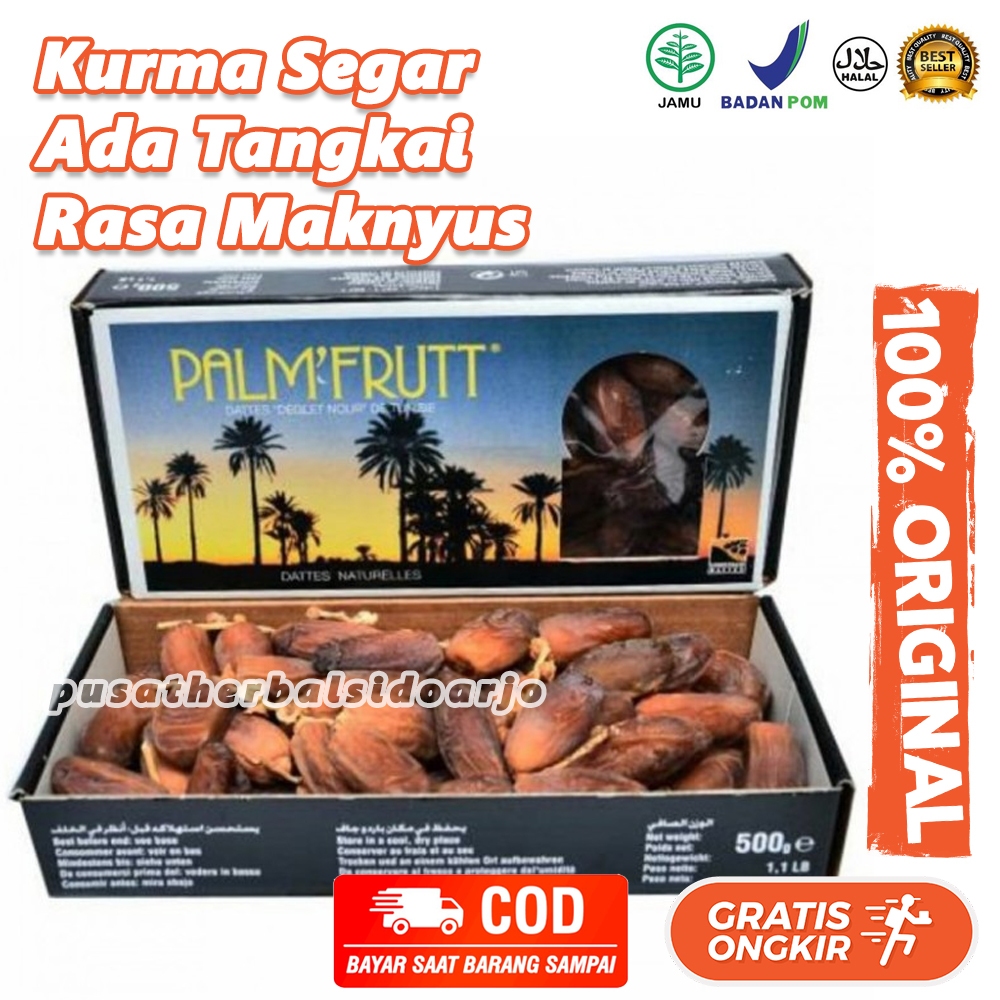 

Kurma Tunisia Tangkai Palm Frutt 500gr Palm Fruit 500 Gram