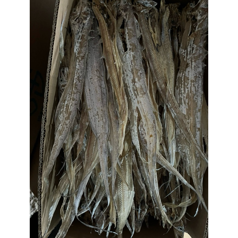 

IKAN LAYUR ASIN