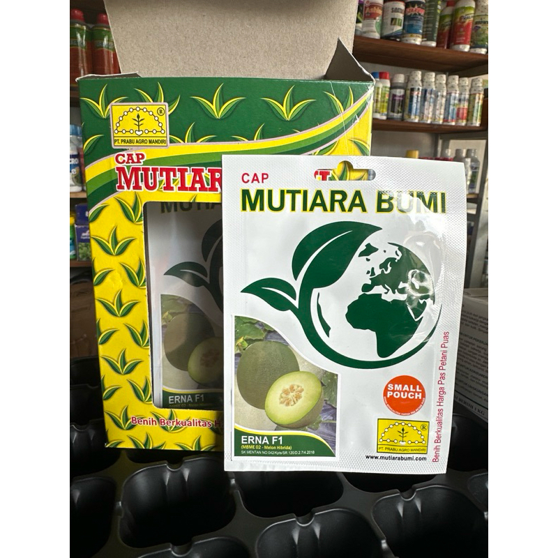 Benih Melon Putih Erna F1 isi 40 Butir