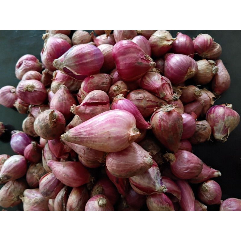 Bawang Merah Besar Bawang merah  lokal 1kg