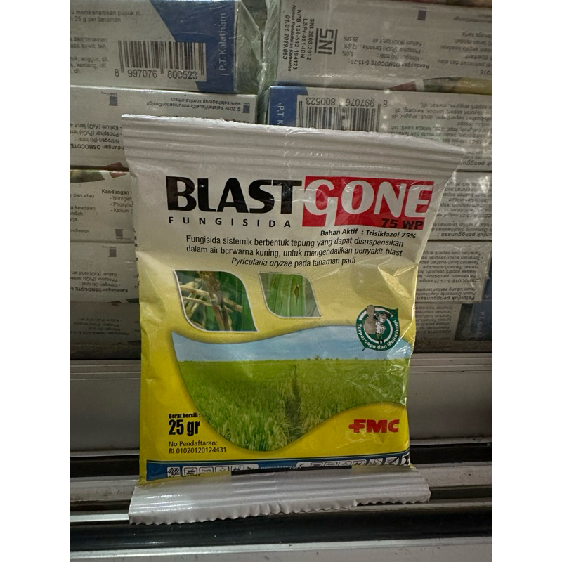 Fungisida BlastGone 75 WP 25gr