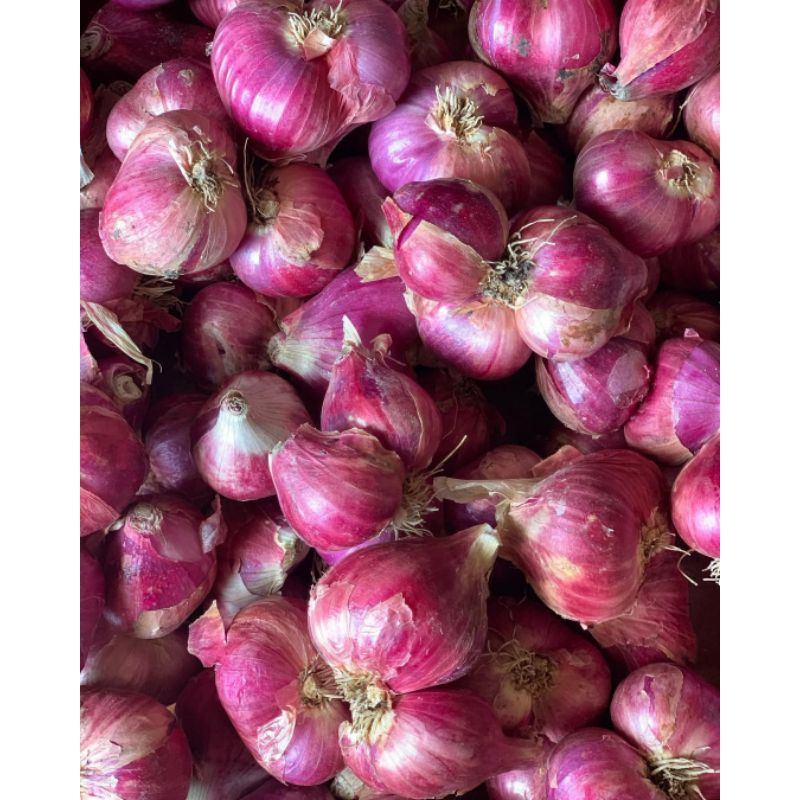 

Bawang Merah 1kg Brebes Segar Terlaris