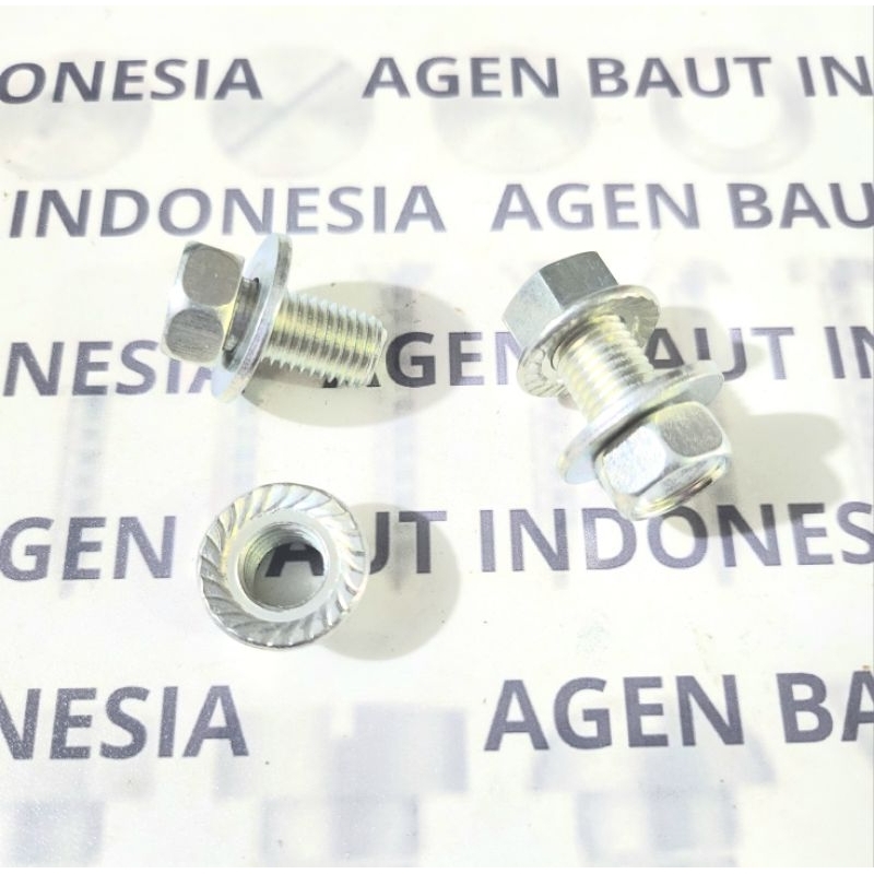 1 Set Baut 14 Ring Nempel M10x16 + Mur Flange M10 K14
