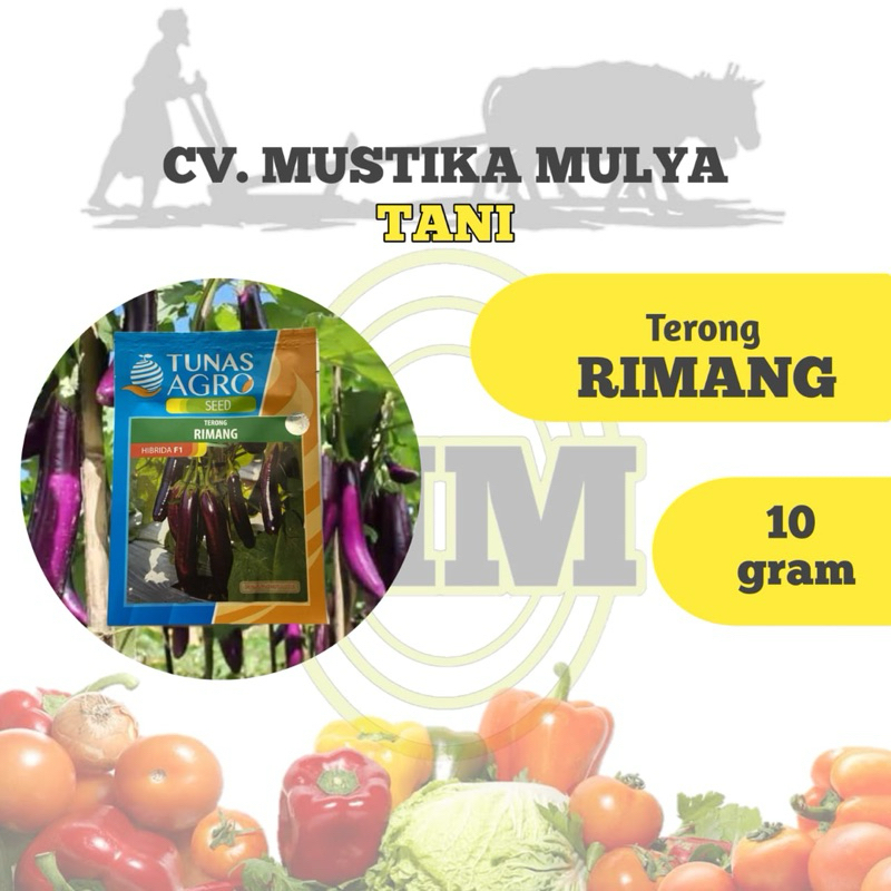 BENIH TERONG ( RIMANG ) TUNAS AGRO