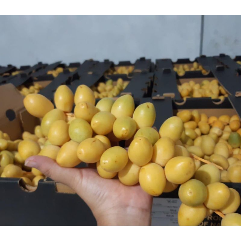 

Kurma muda Segar Fresh BUKAN Beku BUKAN Frozen