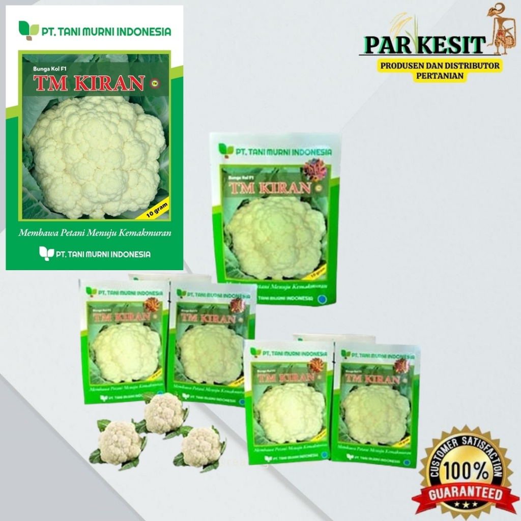 Benih Bunga Kol TM Kiran - 10 Gram