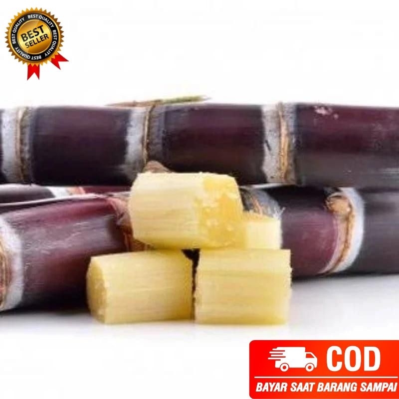 

Tebu merah sudah kupas 1 kg tinggal makan