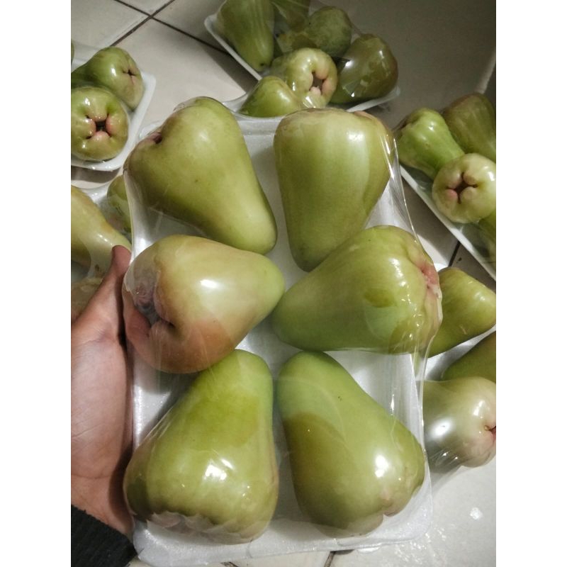 

Jambu Madu Deli Manis
