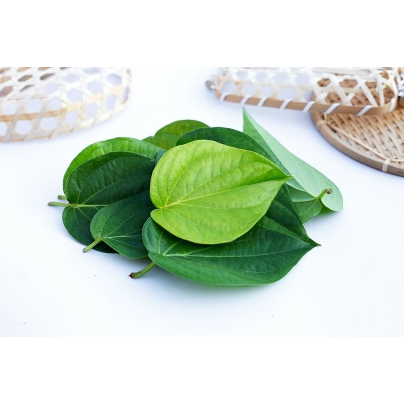 

daun sirih putih /15 lembar