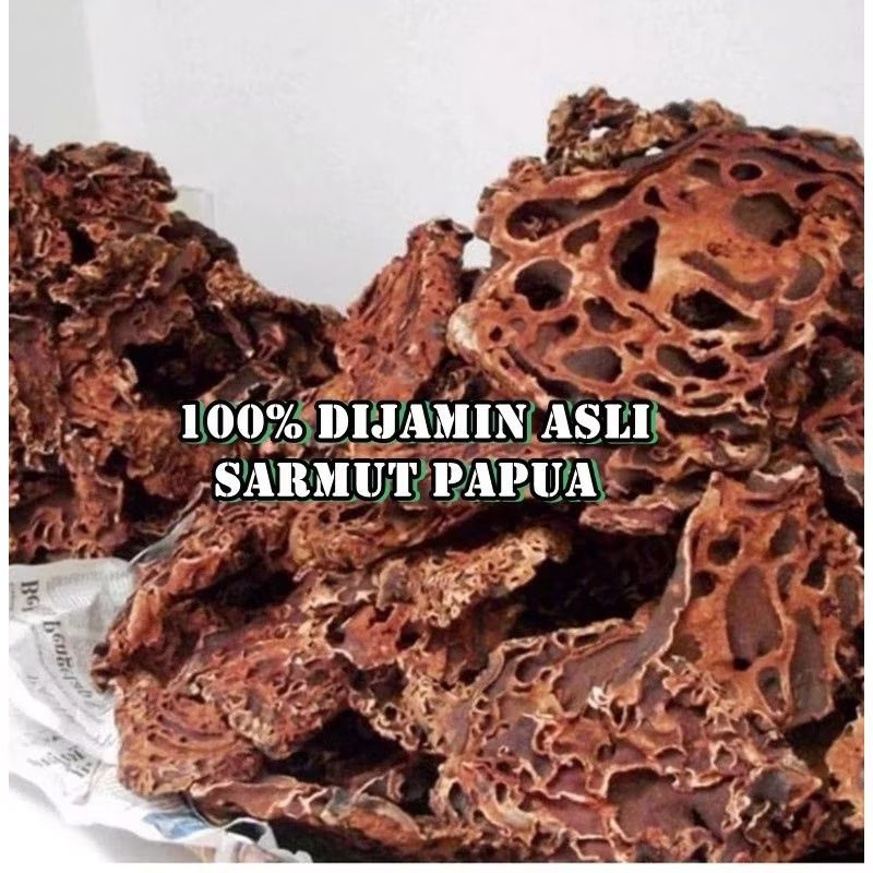 

Herbal sarang semut papua/sarang semut asli papua